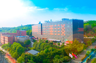 四川文化艺术学院校园